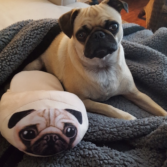 Meet your Posher, Shannon - Picture 2 of 2